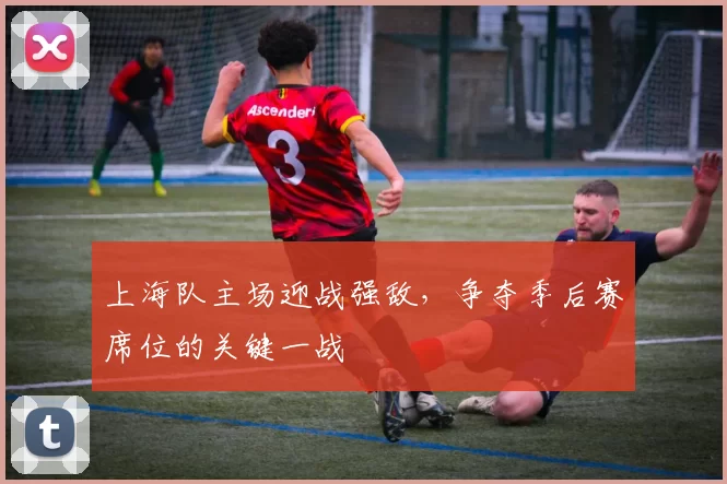 上海队主场迎战强敌，争夺季后赛席位的关键一战