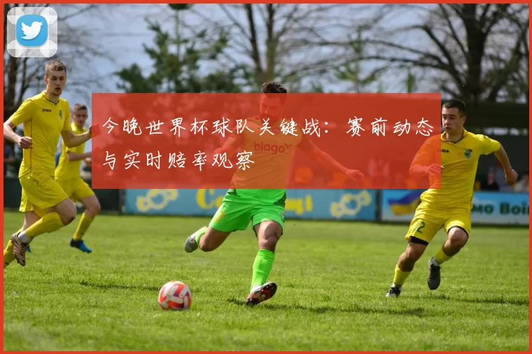 今晚世界杯球队关键战:赛前动态与实时赔率观察