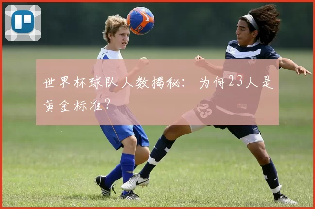 世界杯球队人数揭秘：为何23人是黄金标准？