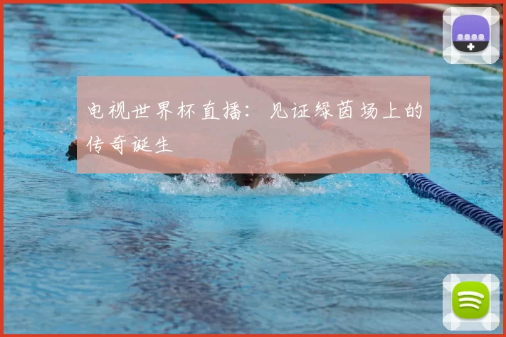 电视世界杯直播:见证绿茵场上的传奇诞生