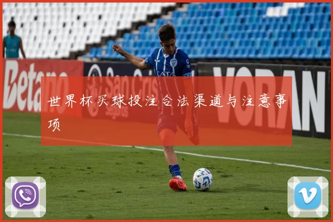 世界杯买球投注合法渠道与注意事项