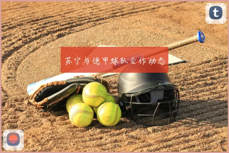 苏宁与德甲球队合作动态