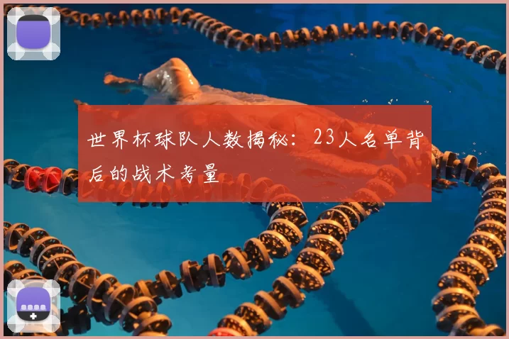 世界杯球队人数揭秘：23人名单背后的战术考量