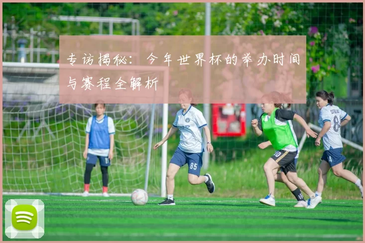 专访揭秘：今年世界杯的举办时间与赛程全解析
