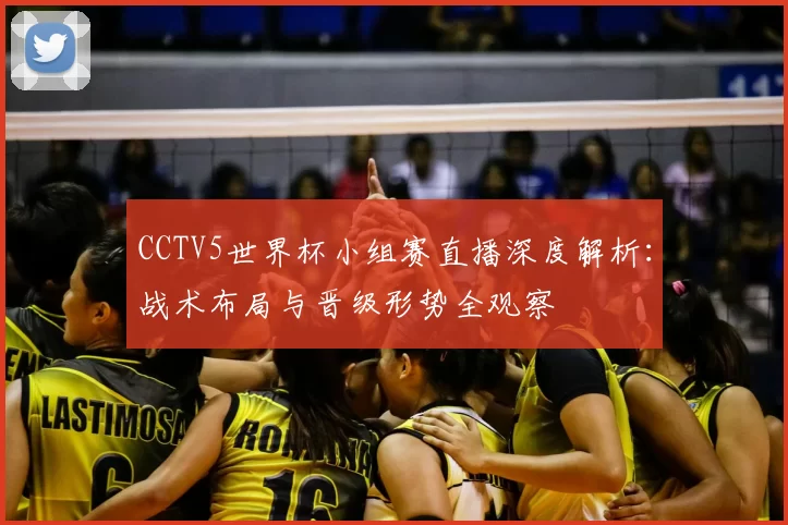 CCTV5世界杯小组赛直播深度解析:战术布局与晋级形势全观察