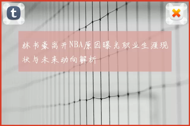 林书豪离开NBA原因曝光职业生涯现状与未来动向解析