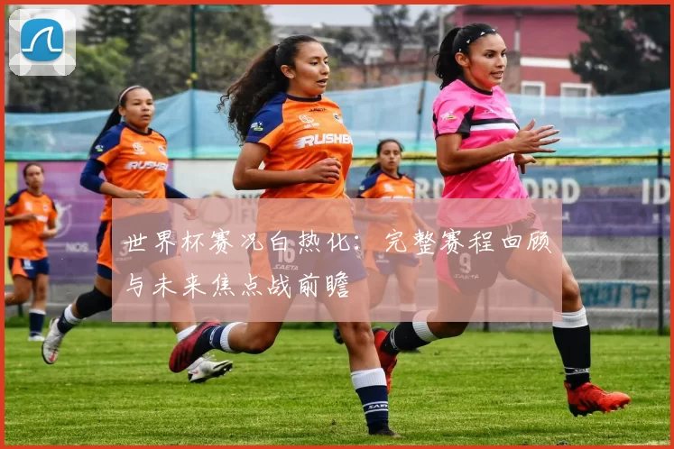 世界杯赛况白热化：完整赛程回顾与未来焦点战前瞻