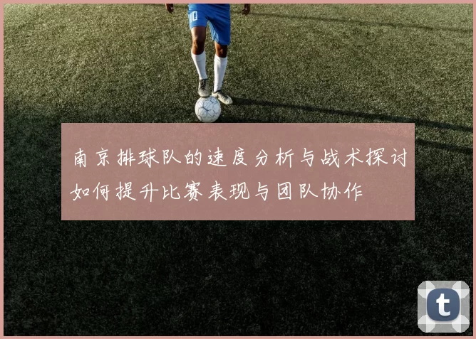 南京排球队的速度分析与战术探讨如何提升比赛表现与团队协作