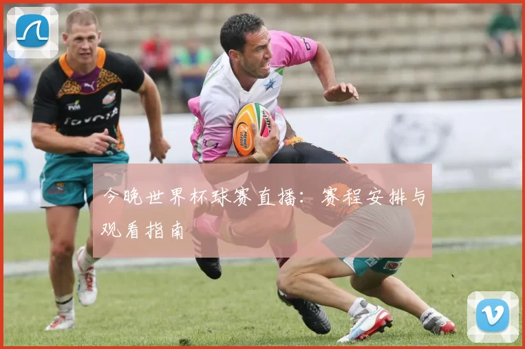 今晚世界杯球赛直播:赛程安排与观看指南