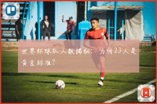 世界杯球队人数揭秘:为何23人是黄金标准?