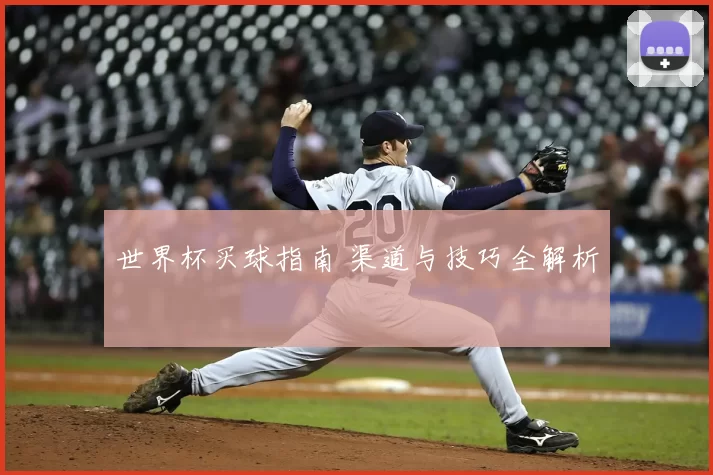 世界杯买球指南 渠道与技巧全解析