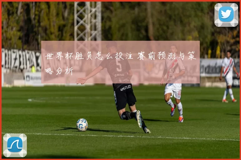 世界杯胜负怎么投注 赛前预测与策略分析