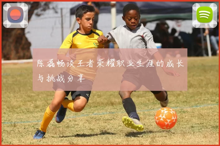 陈磊畅谈王者荣耀职业生涯的成长与挑战分享