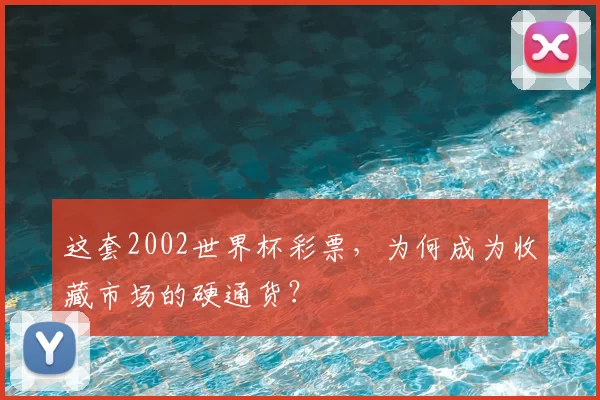 这套2002世界杯彩票，为何成为收藏市场的硬通货？