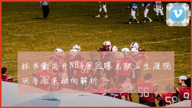 林书豪离开NBA原因曝光职业生涯现状与未来动向解析