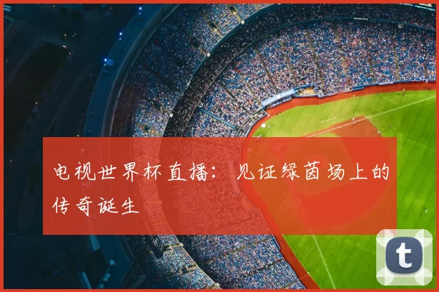 电视世界杯直播:见证绿茵场上的传奇诞生