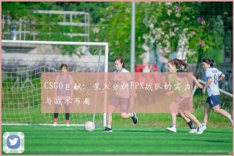 CSGO巨献：深入分析FPX战队的实力与战术布局