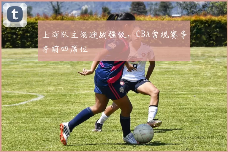 上海队主场迎战强敌,CBA常规赛争夺前四席位