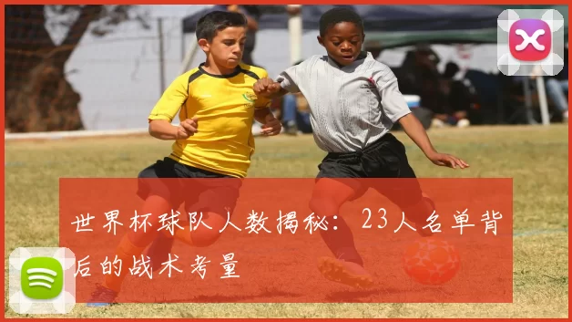世界杯球队人数揭秘:23人名单背后的战术考量
