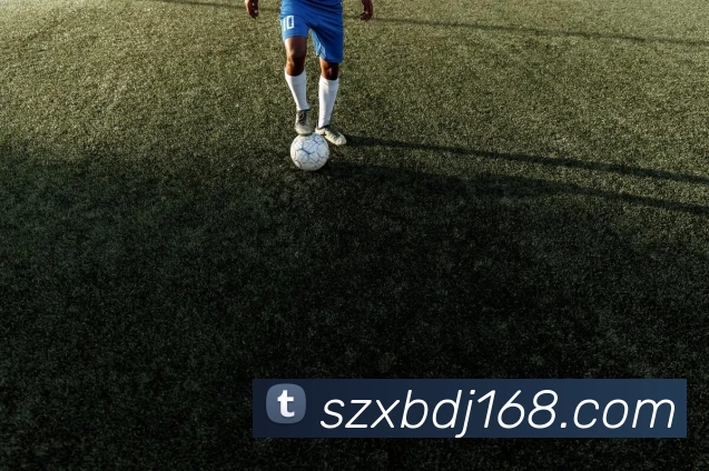 App Interface Preview